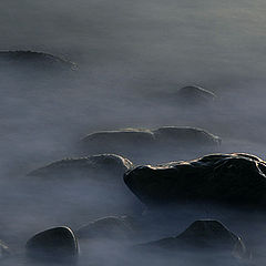 фото "Stone head of the crocodile"