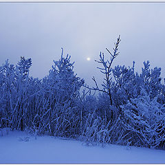 фото "At winter night in a floor"