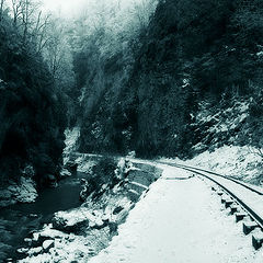 фото "Caucasian national park - Gorge Guamskoe"