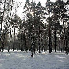 photo "Winter 2"