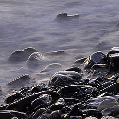 фото "Black sea and white pebbles"