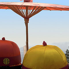 фото "Китайские шапочки"