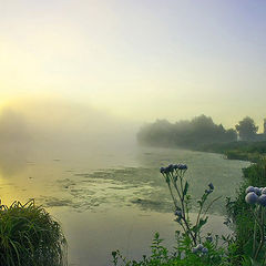 фото "Рассветная. Этюд_1."