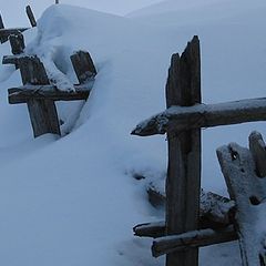 photo "Snowy fence (QC)"