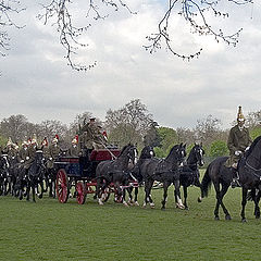 photo "Horse Parade"
