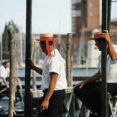 фото "gondoliers"