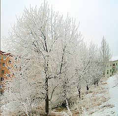 фото "Дивное утро / Nice morning"