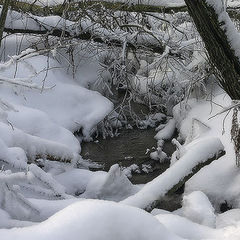 photo "Winter Fantasy # 3"