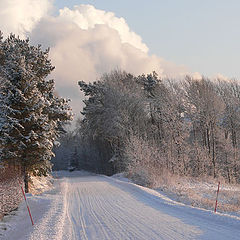 photo "My road"