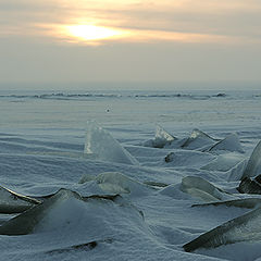 фото "ледяные акулы"