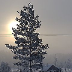 фото "... вдали от суеты"