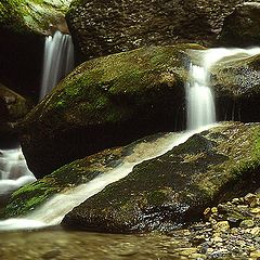 фото "An angle of Eden"