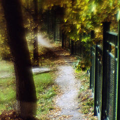 photo "Track through autumn"