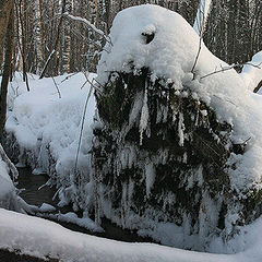 photo "Winter Fantasy # 4 - Guard"