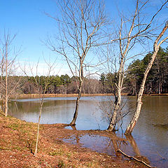 photo "French village lake."