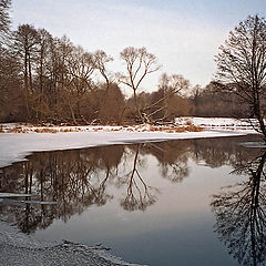 photo "Frost stop"