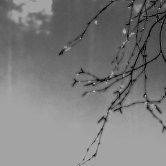 photo "naked"