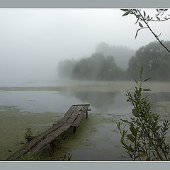 photo "***"