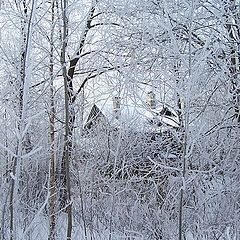 фото "зимний пейзаж"