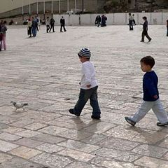 photo "The children of the holy city"