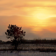 photo "The orange sunset"