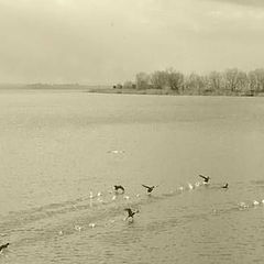 фото "Trasimeno Lake 2006"