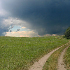 photo "To thunder-storm towards"