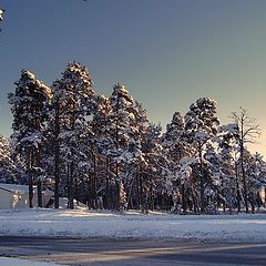 photo "Winter"