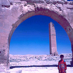фото "urfa harran"