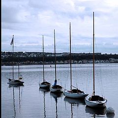 photo "boats"