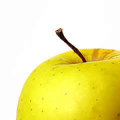 фото "apple"