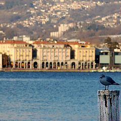 фото "lugano"