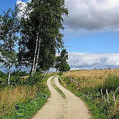 фото "Summer landscape"