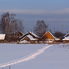 фото "Солнечная тропинка"