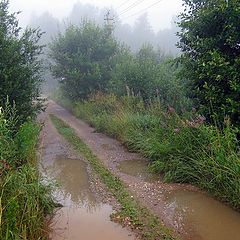 фото "Лесная дорога"