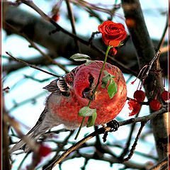 photo "With a spring holiday, lovely ladies!"