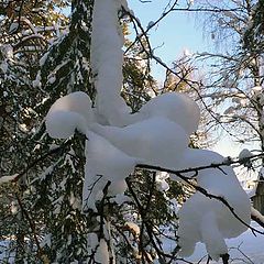 фото "Птица Феникс"