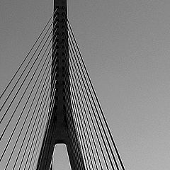 фото "The bridge"