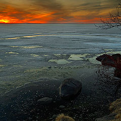 photo "At the End of Winter"