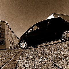 фото "..."