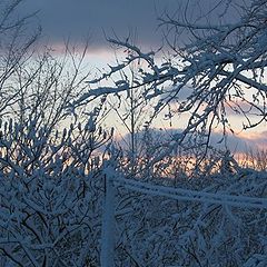 photo "Setting sun (QC)"