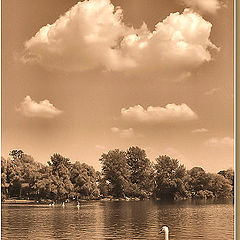 photo "on the lake"