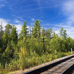 фото "Путник"