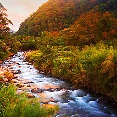 photo "Flowing Water"