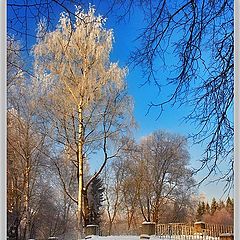 photo "Winter Pavlovsk magic"