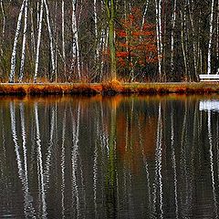 photo "reflection"