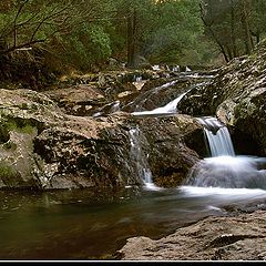 photo "Serra D'arga"