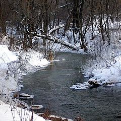 photo "Winter small river"