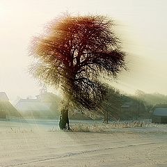 фото "The morning..."