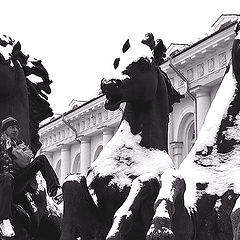 photo "horses"